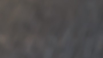 Estofado de carne con setas y pimientos