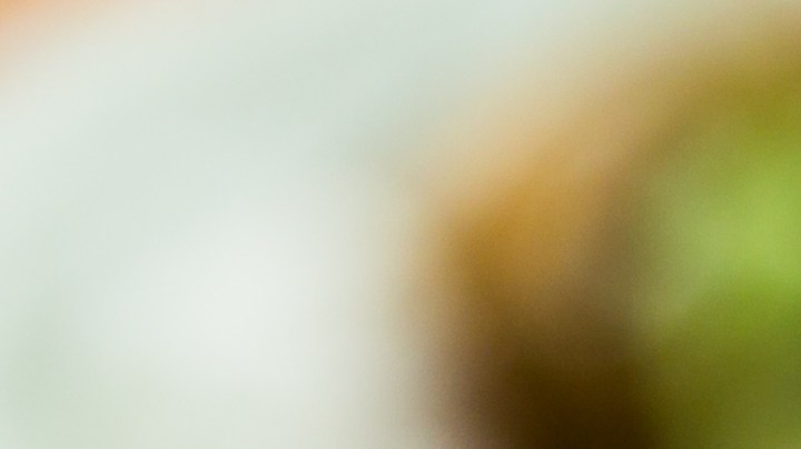 Lasaña de trigo sarraceno