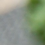 pizza carbonara sin gluten