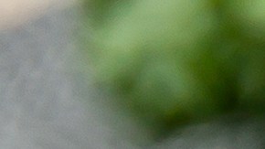 pizza carbonara sin gluten