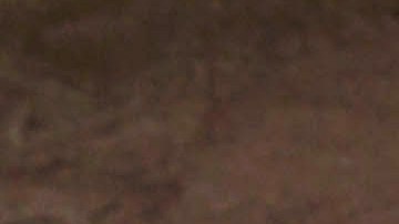 pizza pepperoni sin gluten