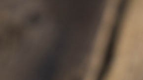 Sandwich de camarones con queso