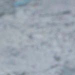 sandwich de pescado frito