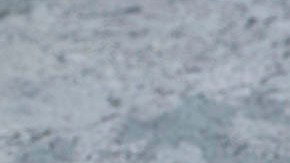 sandwich de pescado frito