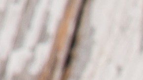 wraps de trigo sarraceno con vegetales