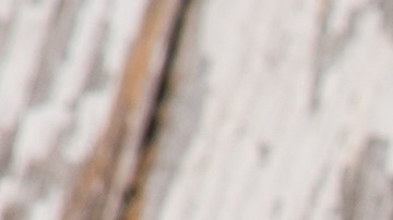 wraps de trigo sarraceno con vegetales