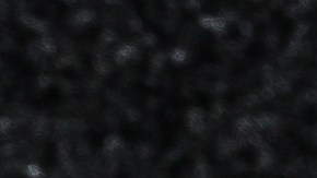 Muslos de pollo en salsa de ajo y vino blanco