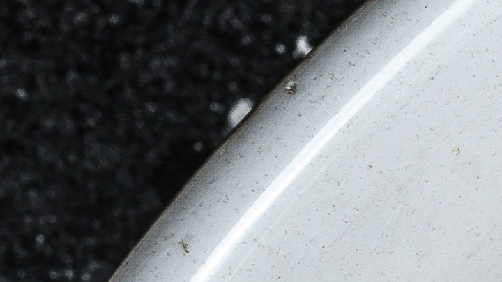 Muslos de pollo en salsa de ajo y vino blanco