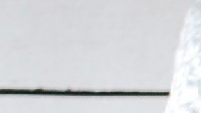 sopa de verduras y trigo sarraceno