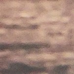 risotto de trigo sarraceno con verduras