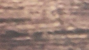 risotto de trigo sarraceno con verduras