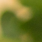 ensalada de trigo sarraceno con verduras y frutos secos