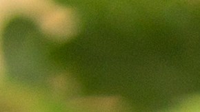 ensalada de trigo sarraceno con verduras y frutos secos