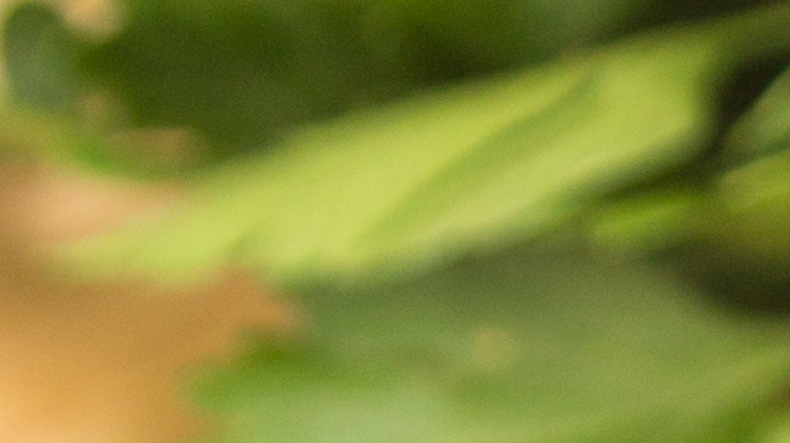 ensalada de trigo sarraceno con verduras y frutos secos