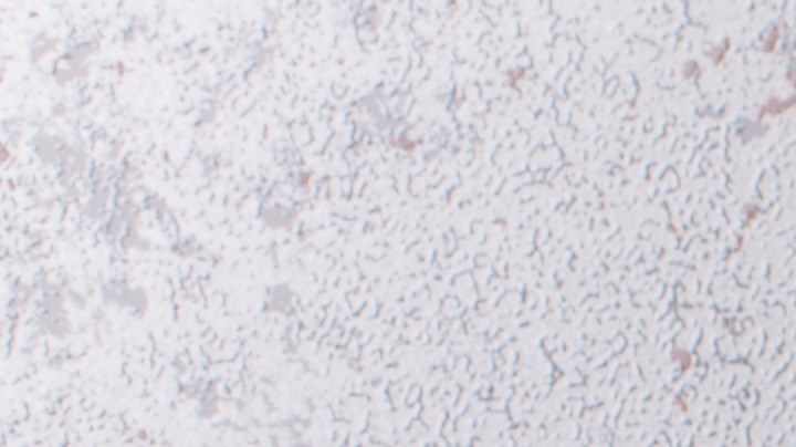 Muslos de pollo en salsa de yogurt y menta