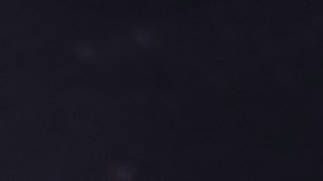 pizza barbacoa sin gluten