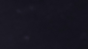 pizza barbacoa sin gluten