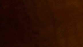 pizza 4 quesos sin gluten