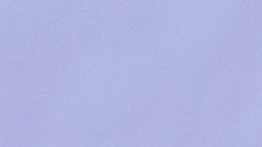 flan de frutos secos