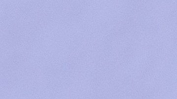 flan de frutos secos