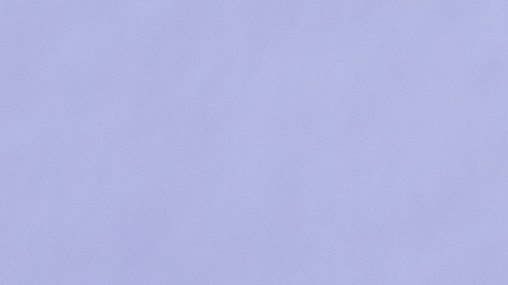 flan de frutos secos