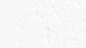 Muslos de pollo en salsa de tomate picante