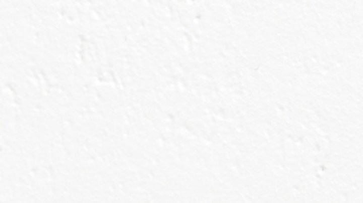 Muslos de pollo en salsa de tomate picante