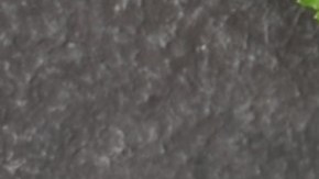 Muslos de pollo con salsa de jalapeño