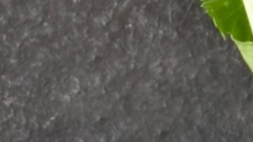 Muslos de pollo con salsa de jalapeño