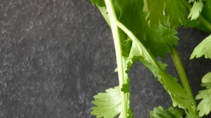 Muslos de pollo con salsa de jalapeño