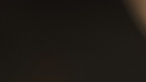 Muslos de pollo en mole poblano