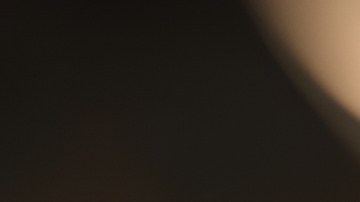 Muslos de pollo en mole poblano