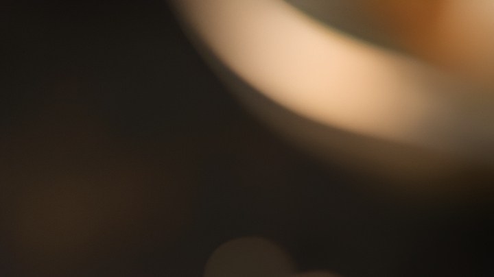 Muslos de pollo en mole poblano