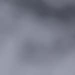 hamburguesas de trigo sarraceno y quinoa