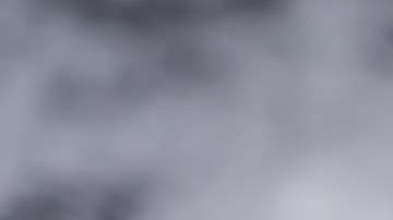 hamburguesas de trigo sarraceno y quinoa