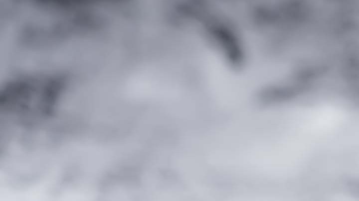 hamburguesas de trigo sarraceno y quinoa