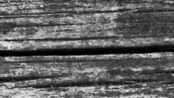 Muslos de pollo con miel y romero