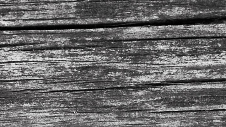 Muslos de pollo con miel y romero