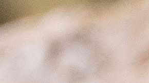 Vichyssoise con berberechos