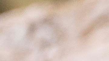 Vichyssoise con berberechos