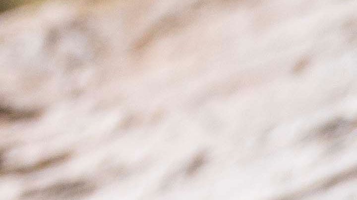 Vichyssoise con berberechos