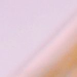 Filete de halibut a la sartén