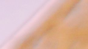 Filete de halibut a la sartén