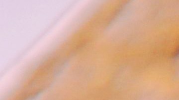 Filete de halibut a la sartén