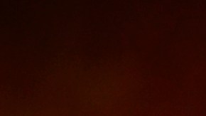 Flan de arroz con leche