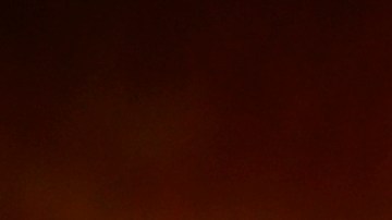 Flan de arroz con leche