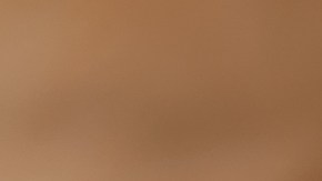 Flan de licor de café