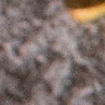 flan de queso mascarpone