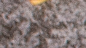 flan de queso mascarpone