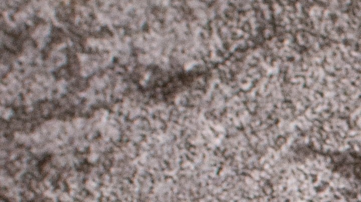 flan de queso mascarpone